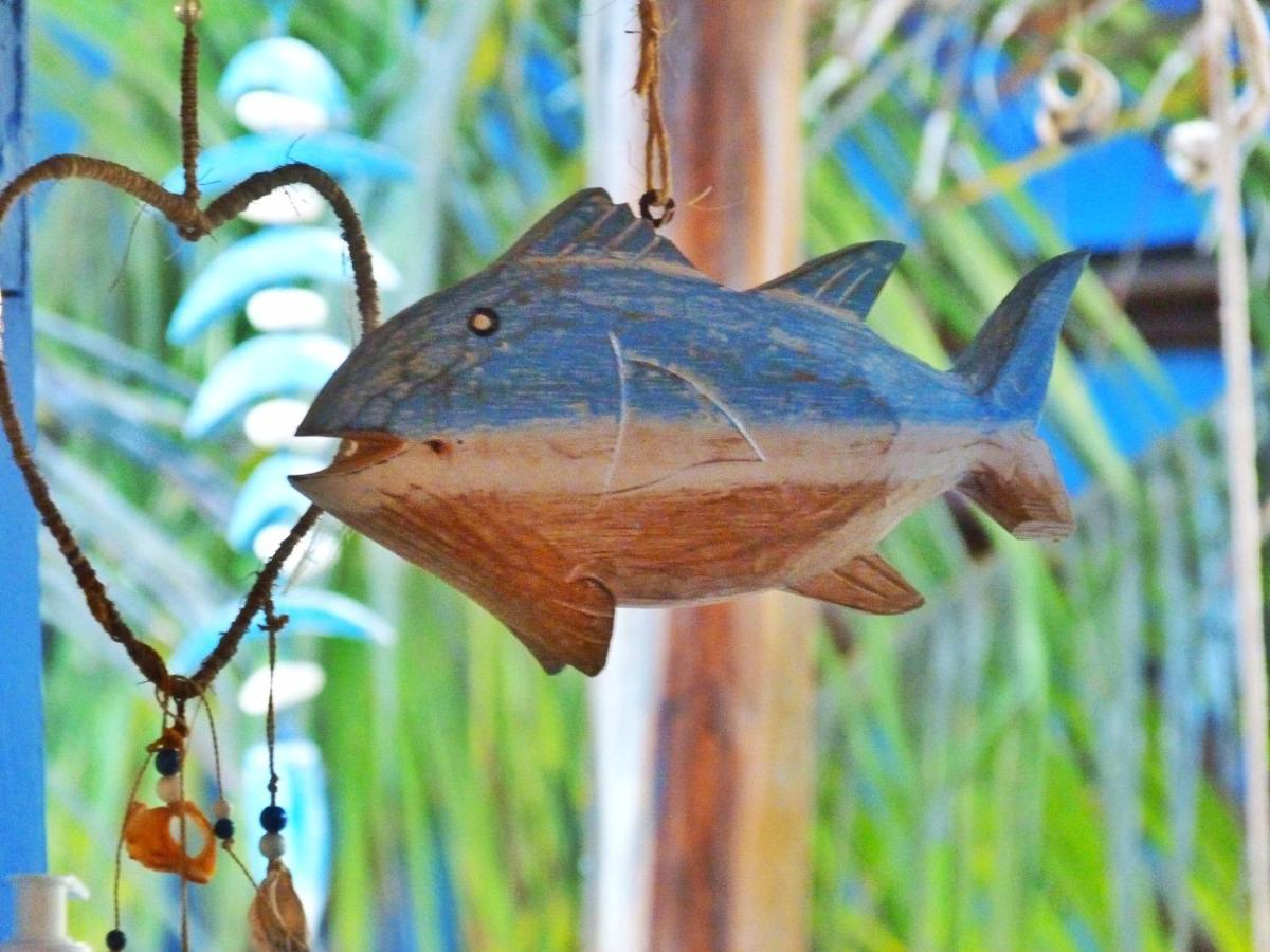 لويس كوريا Pousada Casa Azul Do Piaui المظهر الخارجي الصورة
